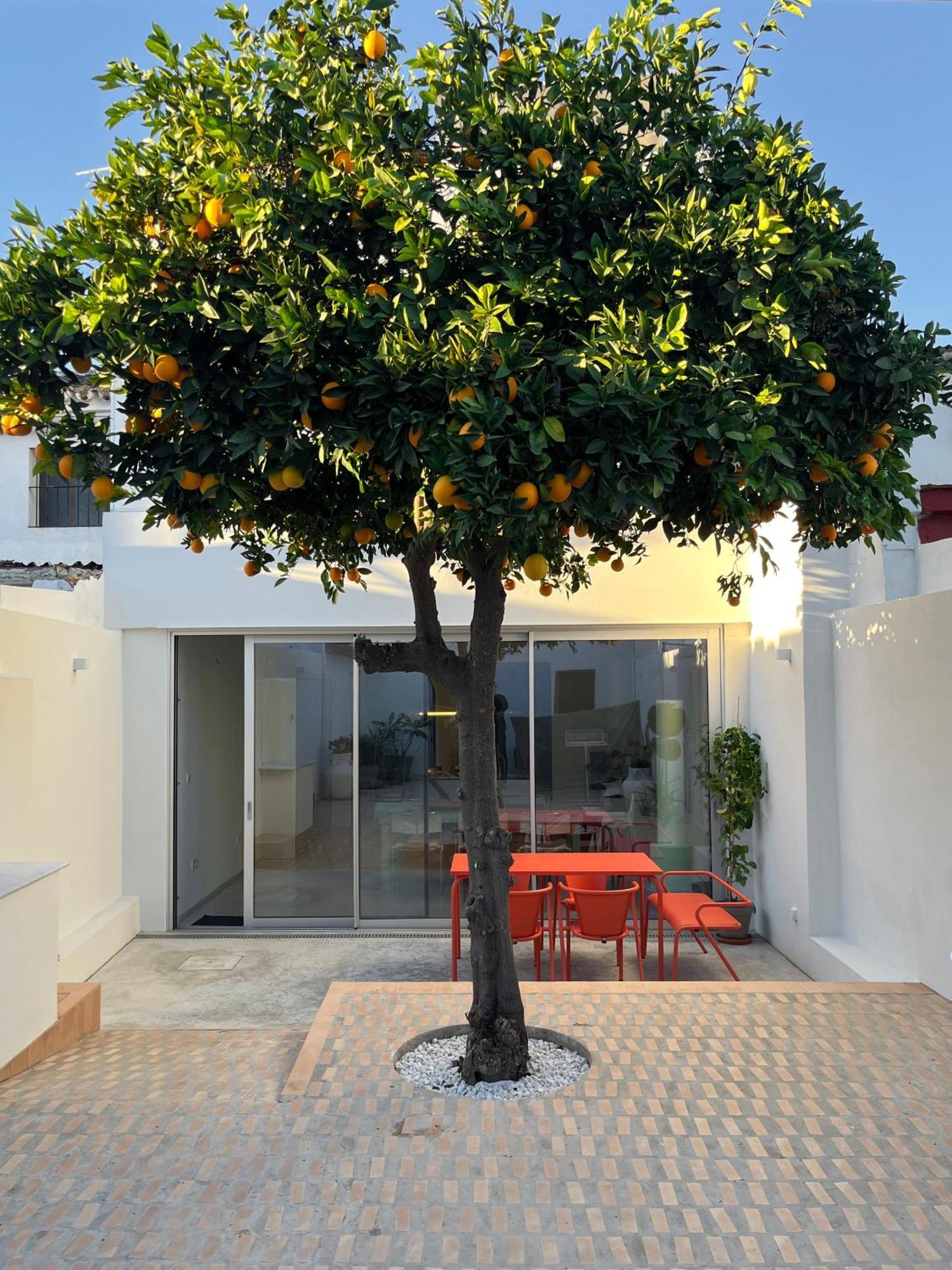 Design & Art, Patio With Orange Tree, Near Seville Carrion de Los Cespedes 외부 사진